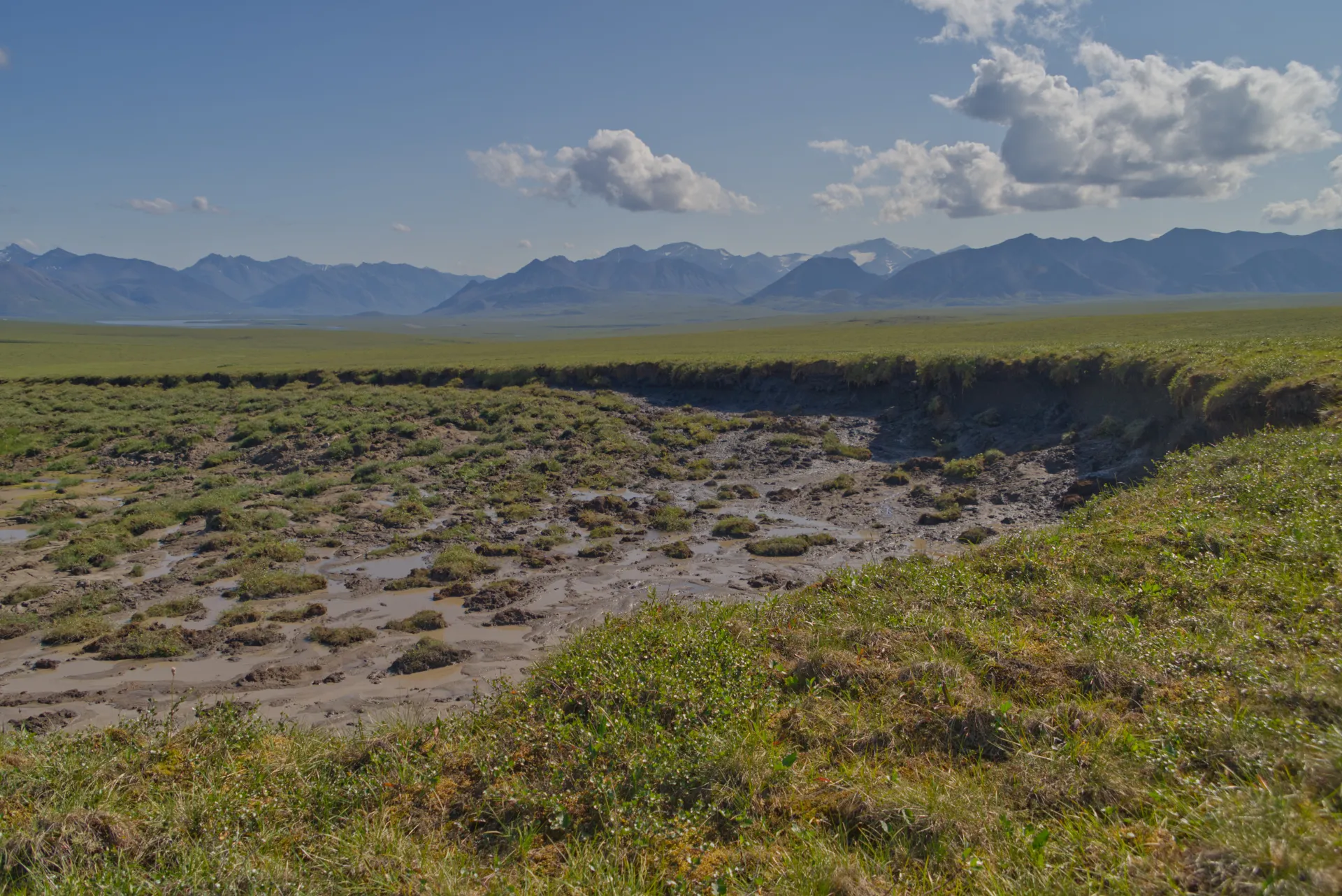A mud and grass field with mountains in a distance some with snow under blue skies with white clouds.