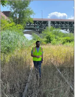 Andrew Hutchman standing on railroad tracks covered in long brown weeds with a bridge up high in a distance behind him. 