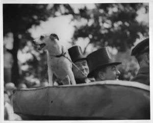 A small dog standing on a ledge with men's heads with top hats behind him.