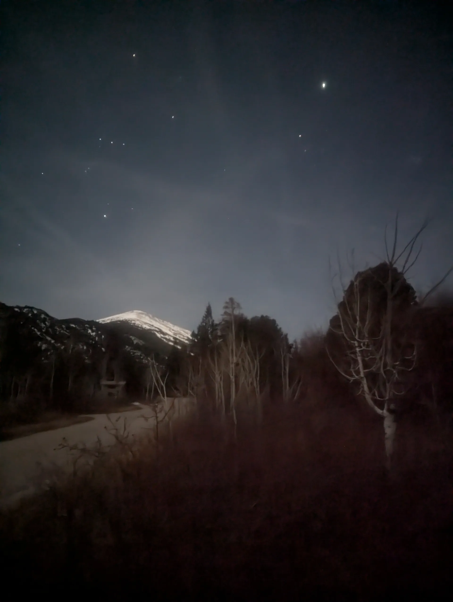 Nighttime landscape featuring a starry sky over a snow-capped mountain and bare trees in the foreground.