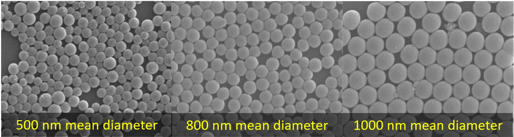 Nanoparticles seen under an electron microscope.