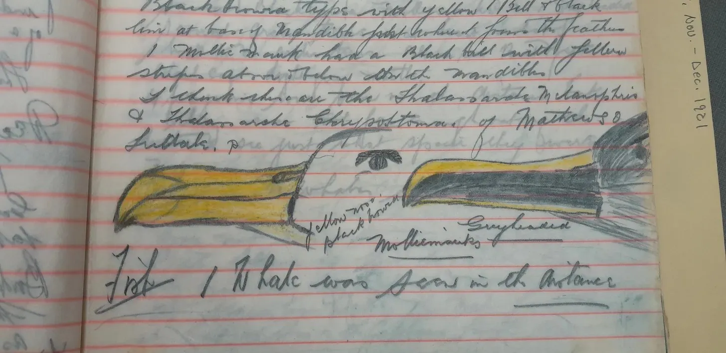 Page from a lined field notebook with handwritten notes