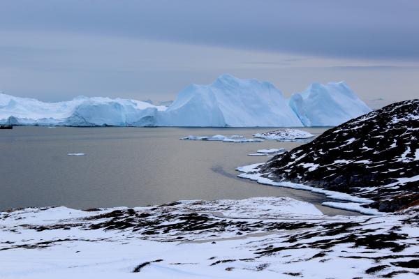 Icebergs near Greenland form from ice that has broken off--or calved--from glaciers on the island. A new study shows that the glaciers are losing ice rapidly enough that, even if global warming were to stop, Greenland's glaciers would continue to shrink.