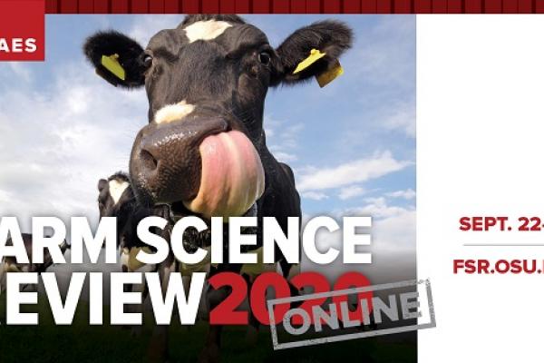 Cow licking its nose with its tongue. Logo for Farm Science Review 2020 