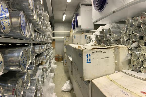 Inside of the Ice Core Freezer showing hundreds of cores crowded together and frost build up due to warm air leaking into the freezer.
