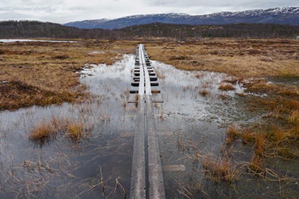 Field of brown grass flooded with water and a mountain range in the background