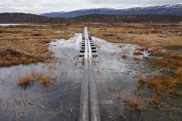 Field of brown grass flooded with water and a mountain range in the background 