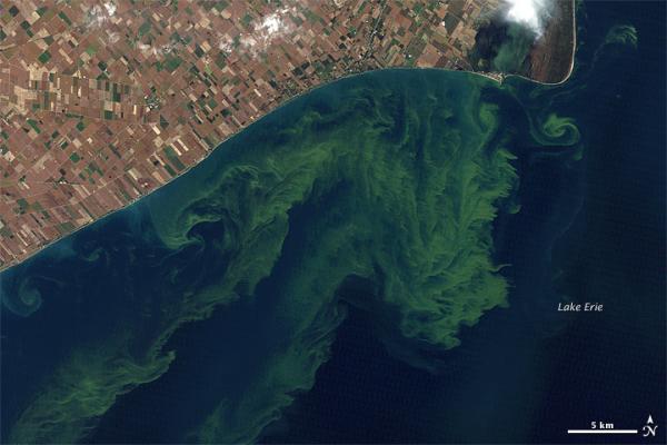 Ariel view of a Lake Erie algae bloom