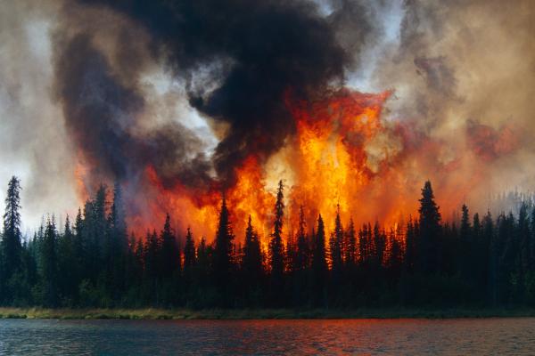Arctic Fire. Smoke and flames are rising from the tree lined landscape