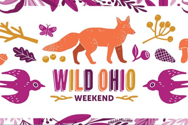 Wild Ohio Weekend logo