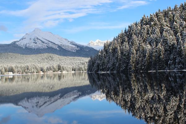 Trees Near Lake Under Blue Sky and snow covered mountains at a distance