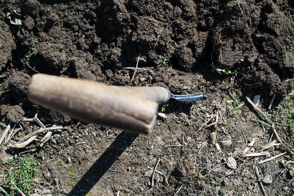 Shovel in dirt