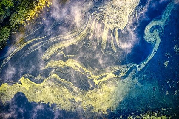 Aerial view of algal bloom in water with hues of yellow green and blue