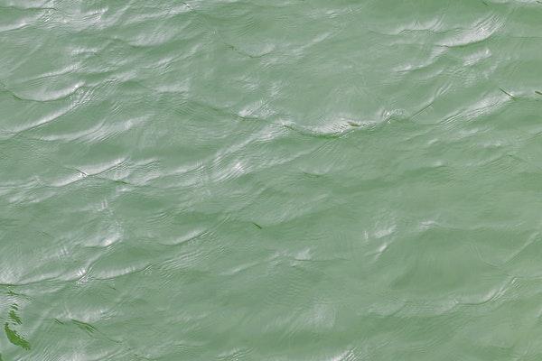 calm, green body of water with light waves 