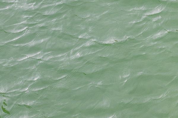 calm, green body of water with light waves