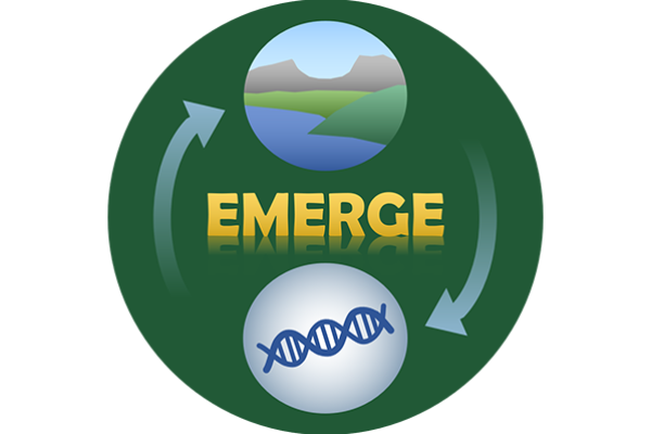 Emerge logo a larger green circle with two light blue curved arrows on either side inside the green circle and two circles in the top and bottom of the circle, top circle containing an animated vista of shy mountain greenery and water and bottom light gra