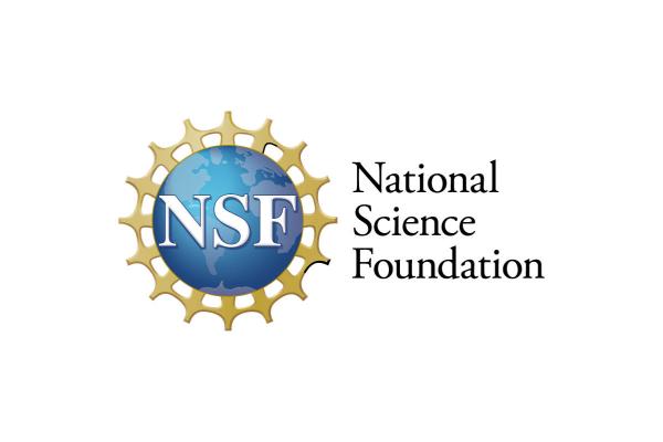 National Science Foundation Logo and words