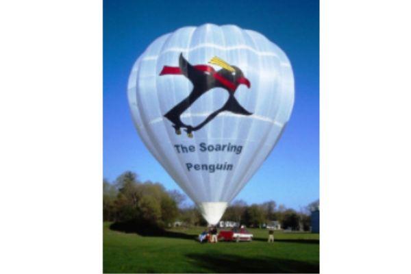 The soaring penguin hot air balloon