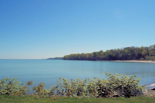 A lake bordered by grass, low shrubs, and trees witha perfectly clear sky overhead.