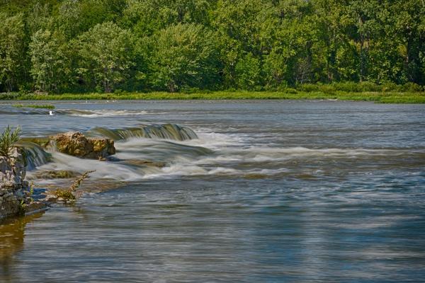 A wide, gentle-looking river with a lush forest on its far bank.