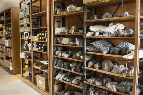 Rock samples stored in the Rock Repository
