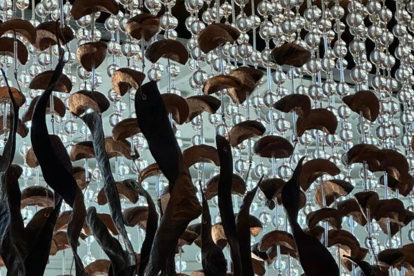 An art installation: glass beads, seed pods, and nut shells hang in the air on hooks and string