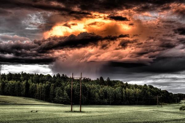 Trees and power lines in a field with dark and orange clouds