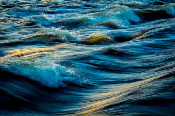 Waves in a body of water.