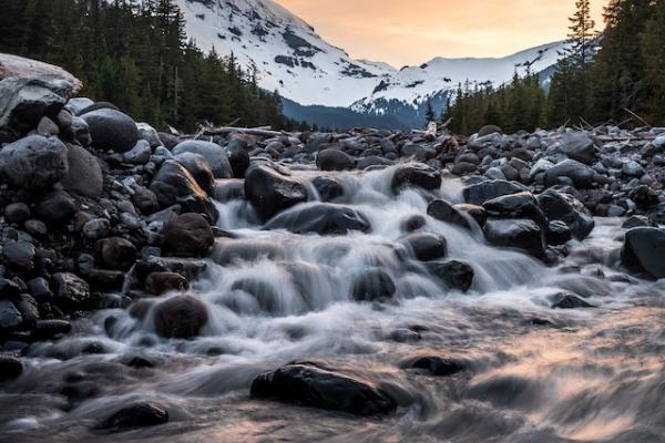 Snow covered mountain in a distance with green pine trees. A river flows on a rocky bed in the foreground.