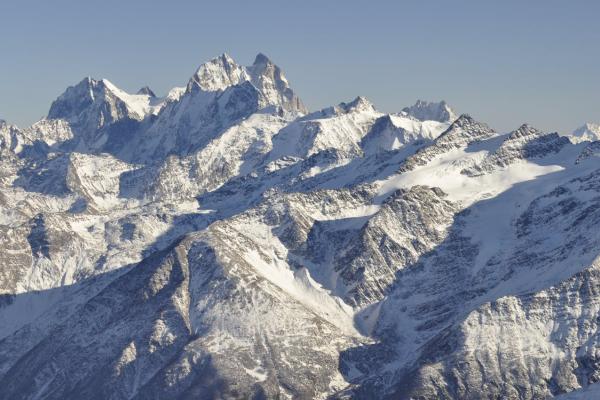 Deciphering the Historical Dynamics of Organic Carbon Aerosols in 
