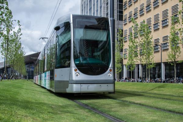 Tram on track in grassy urban environment.