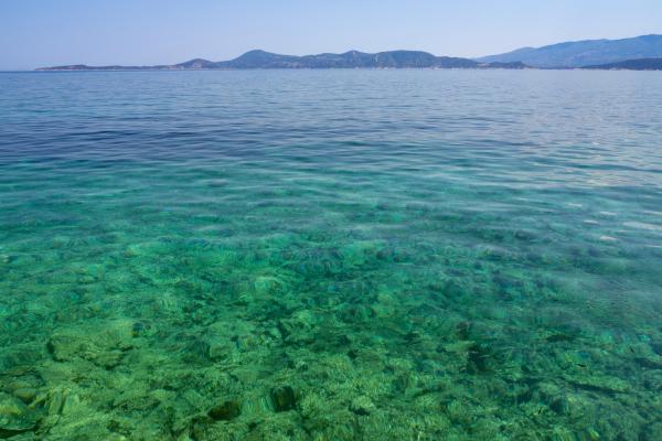 The coast at a distance with green algae in shallow water in the foreground under blue skies