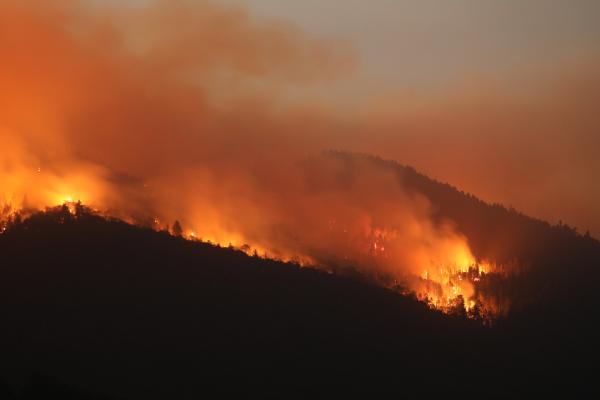 Lanscape of a forest on fire