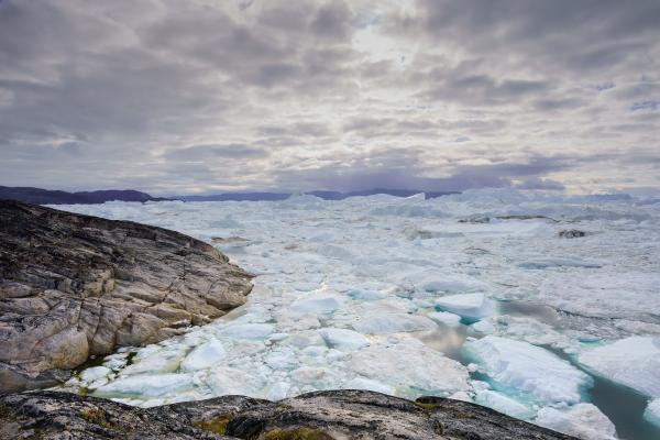 An Icefjord in Greenland, with large chunks of ice floating on the water under a cloudy sky, with rugged terrain in the foreground.