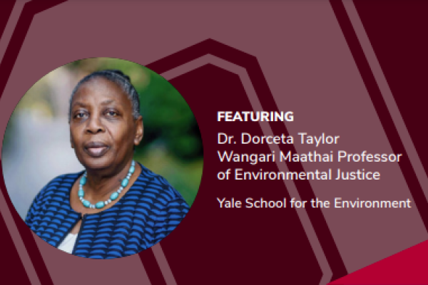 Dr. Dorceta Taylor portrait
