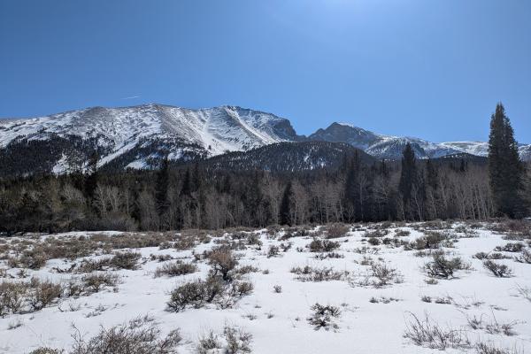 Snow-covered field with patches of grass visible, leading to a dense forest at the foot of the towering, snow-capped Rocky Mountains under a clear blue sky.