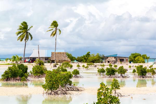 Thatched roof houses. Rural life, a remote paradise island under blue skies and white clouds and palms.