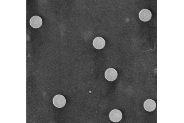 Close-up image of microscopic circular features on a surface, viewed under an electron microscope.