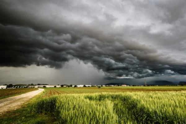 FARM App Helps Farmers. (Photo: Getty Images)