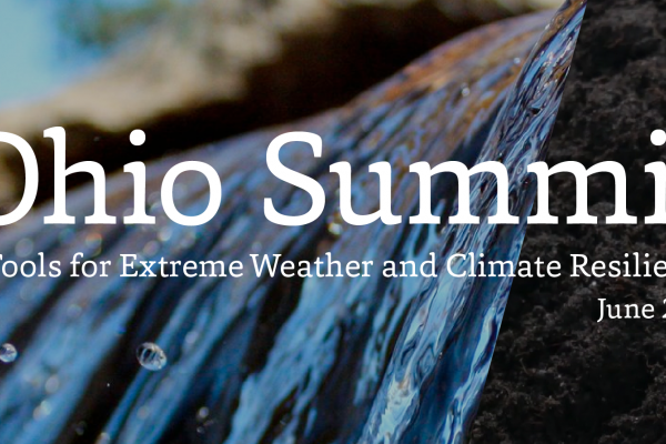 Summit graphic Summit graphic