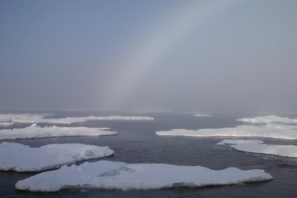 Arctic Sea Ice Arctic Sea Ice