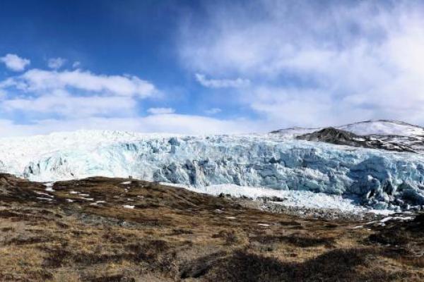 Glacier terminating in a grassy field 