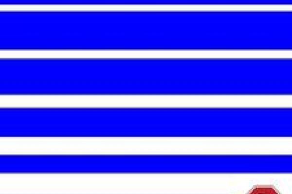 Byrd Polar Flag Byrd Polar Flag