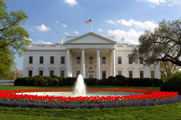 Whitehouse Whitehouse lawn