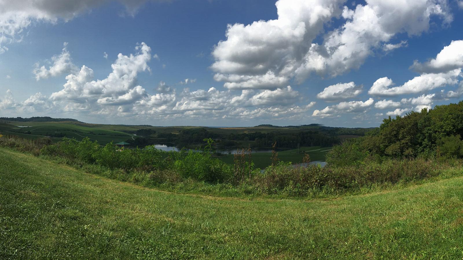 A green grassy landscape with a blue sky and white fluffy clouds