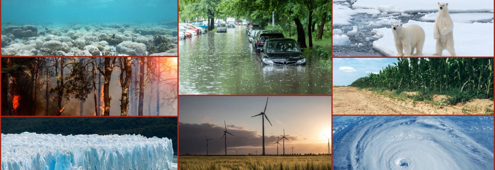 Collage of multiple images: three columns with three images in the left and right cell and 2 in the middle. Left top to bottom bleached coral, trees burning, and glacier ice wall melting in water. Middle top and bottom cars submerged in water on a street and wind turbines in a grassy field. Right top to bottom: two polar bears, a dry cornfield, and a hurricane from space. All images are framed with a red border.