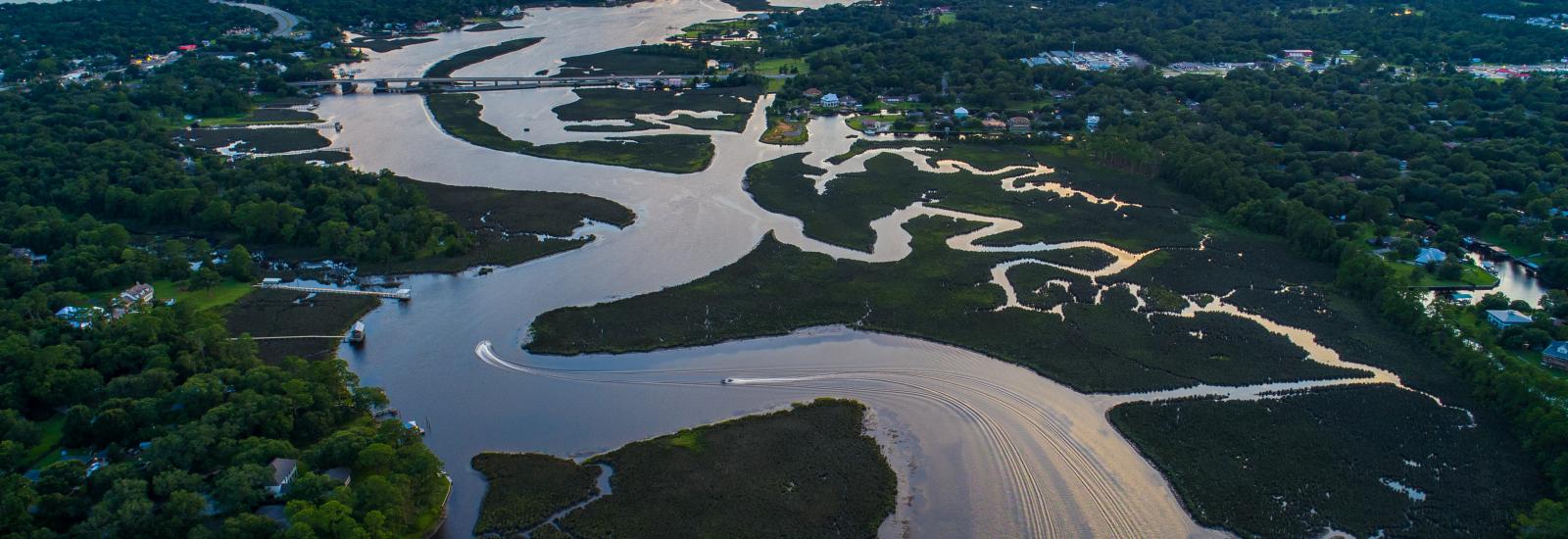 A wide River flows surrounded by vegetation.