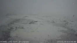 A snow covered field with low visibility
